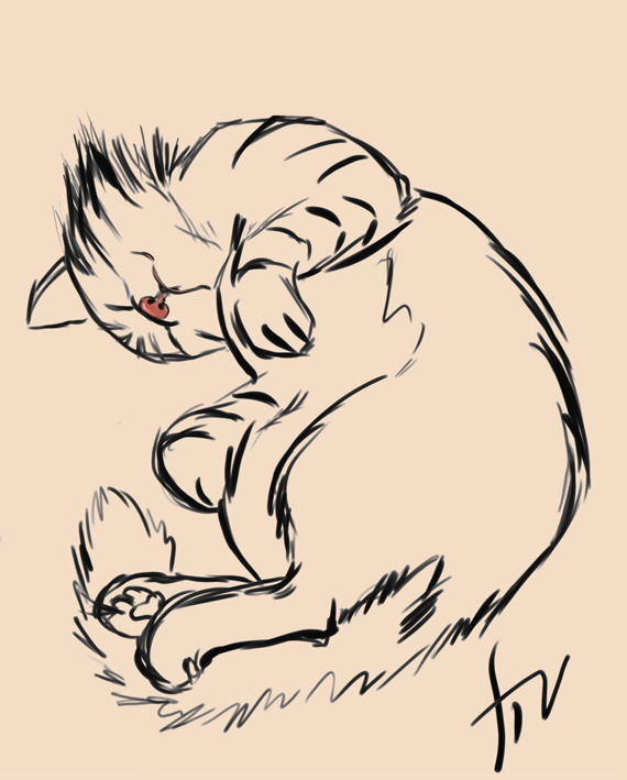 набросок/кот