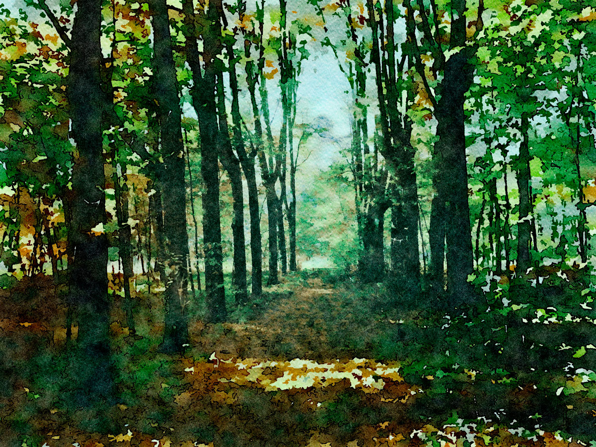 этюд "В Сокольниках". акварель