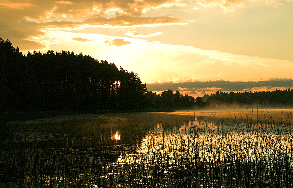 Золотой рассвет
