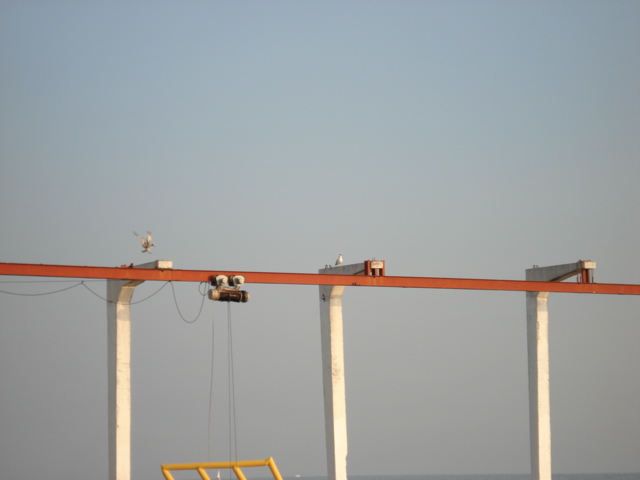 Кран - Watercrane