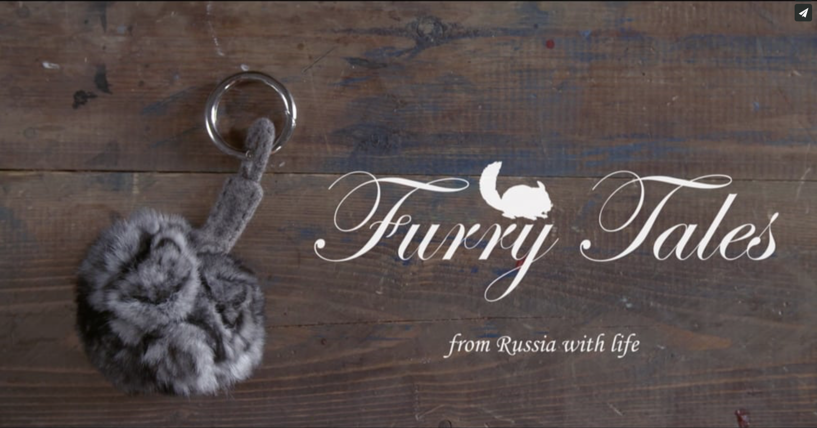 РЕКЛАМА ДЛЯ МАРКИ "FURRY TALES GROUP" 2017