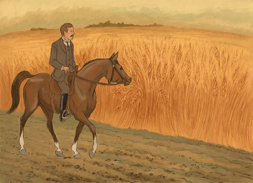 Иллюстрация для программы "Магия кино"