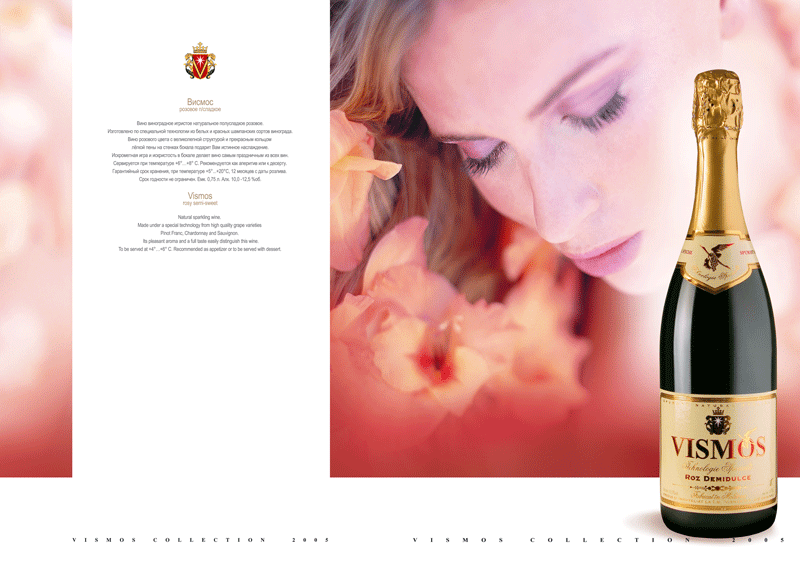 буклет для фирмы" VISMOS"