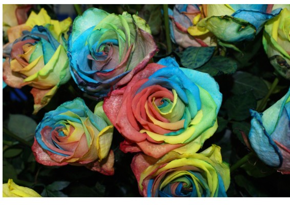 прикрепленный файл