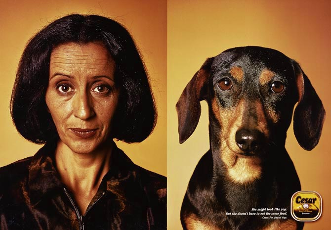 прикрепленный файл