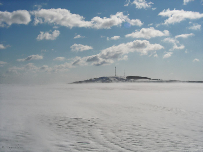 Пустыня "Волга"