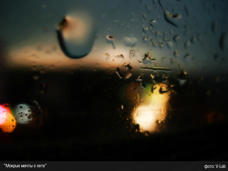 "Мокрые мечты о лете"