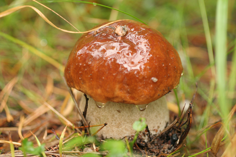 Я не плачу, мне просто грустно