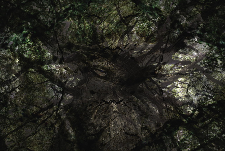 осознание деревьев