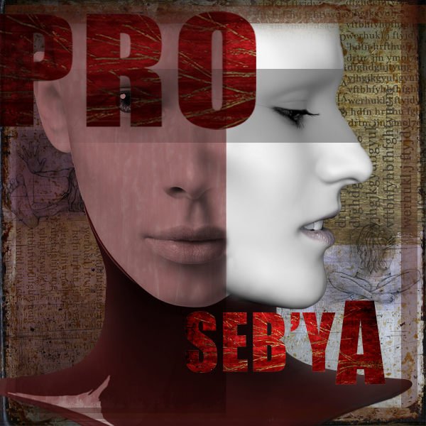 PRO_SEEB\'YA