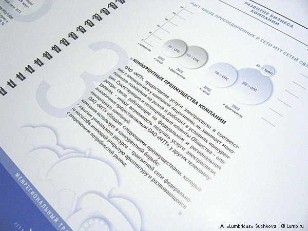 Годовой отчет для компании «МТТ»