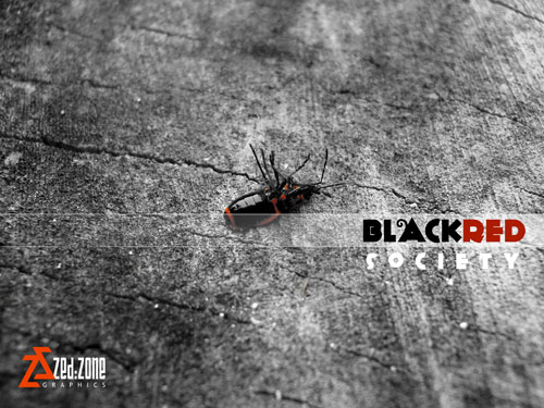 Black-Red Society