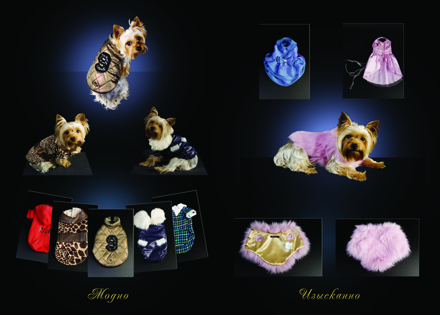 Буклет к выставке, компания "RICH DOG"(cтр. 4-5)