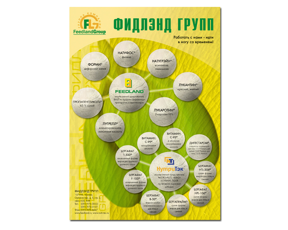 Листовка "Фидленд групп"