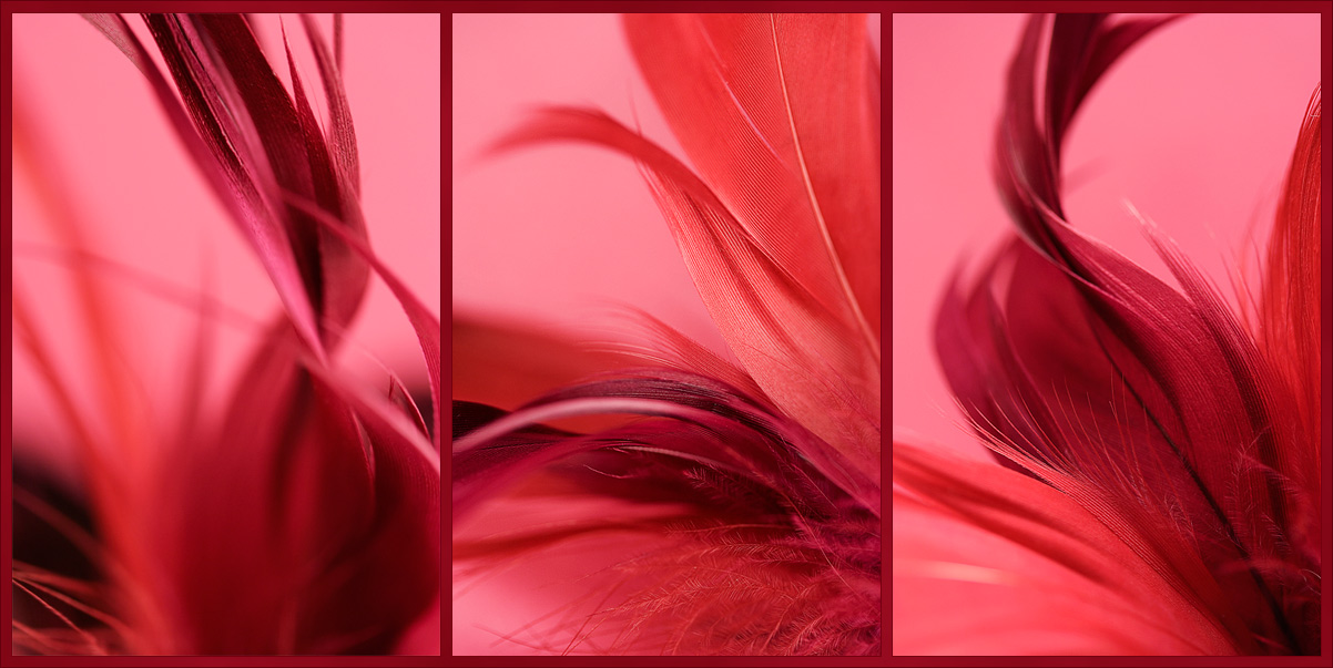 «Танец страсти»