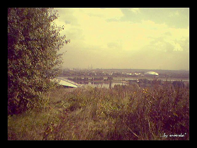 *крылатское...*