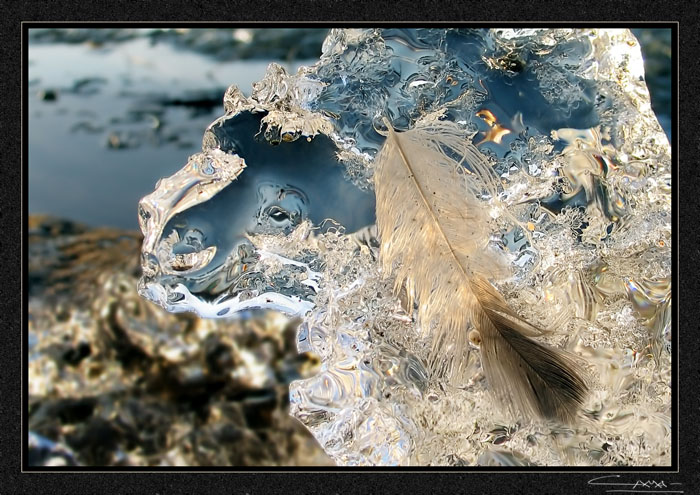 Частичка зимы