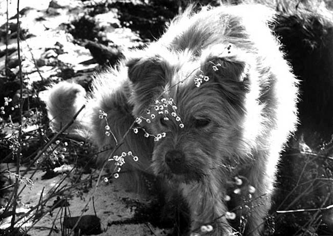 Спряталась!