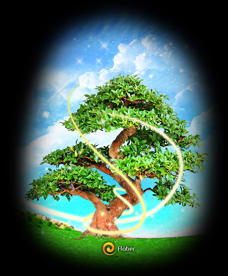 волшебное дерево