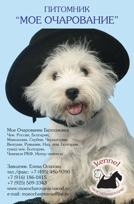 Страница в ежегодник "Терьер сегодня"