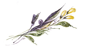 Иллюстрации к книгам "Красный квадрат" и "Арабески&quot