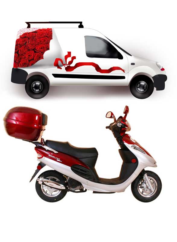 фирменная графика для авто (фирма "ботаника")