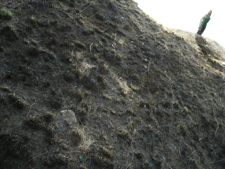 серия "безграничноогромное в крошке"