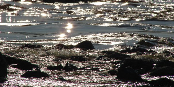 Хабаровск - Амур - Левый берег