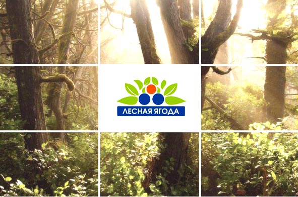 Лесная ягода
