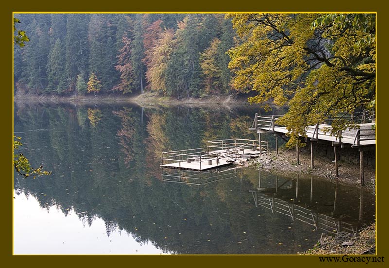 Для порфолио