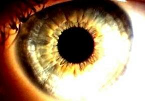 eye