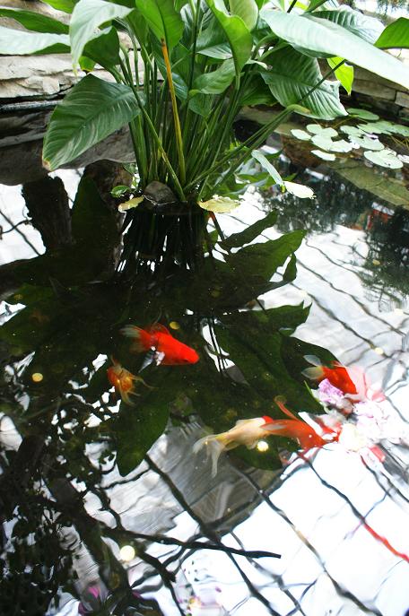 живое золото