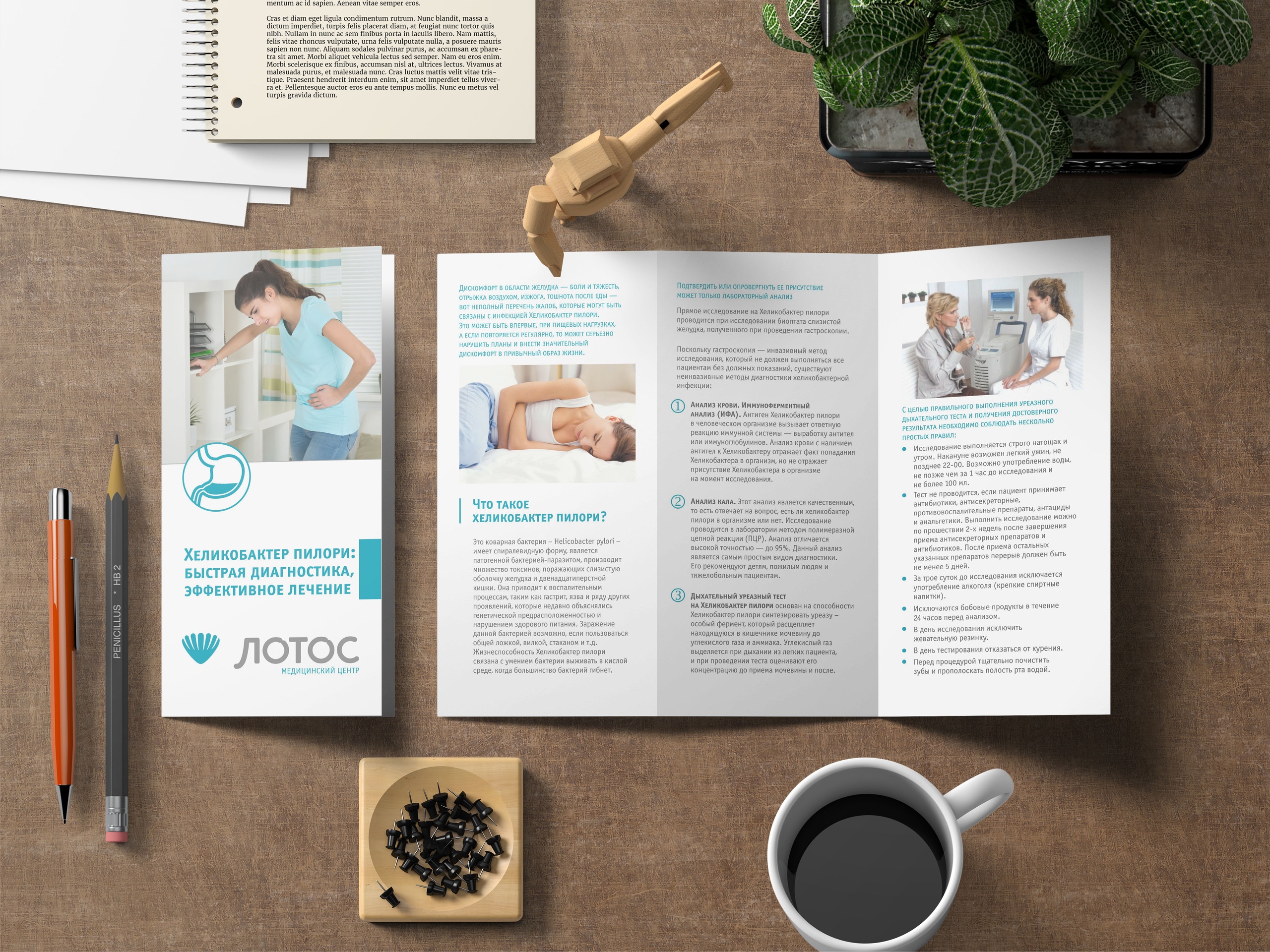 Дизайн буклета для Медицинского центра «ЛОТОС» Челябинск