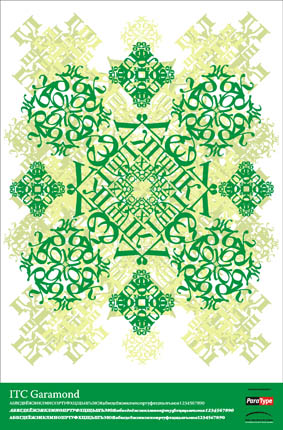 плакат Paratype