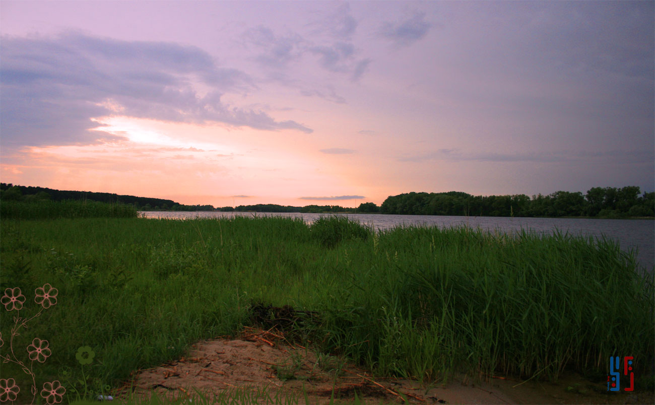 Мои таланты