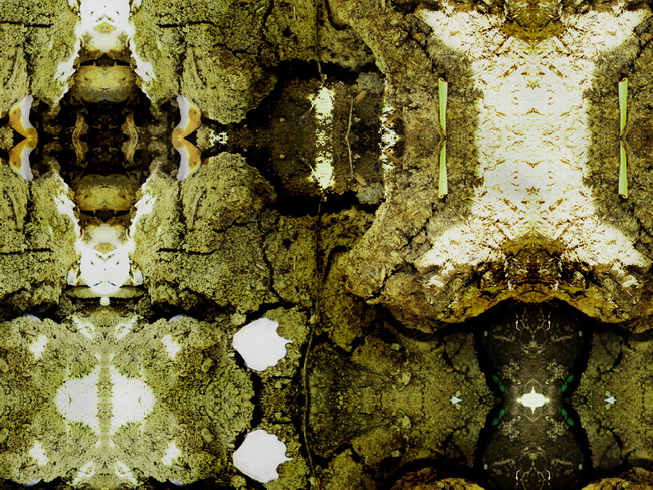 узоры земли