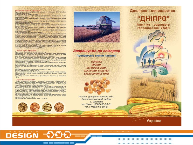Дизайн буклета для "Института Зерна"