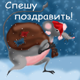 мышь с мешком