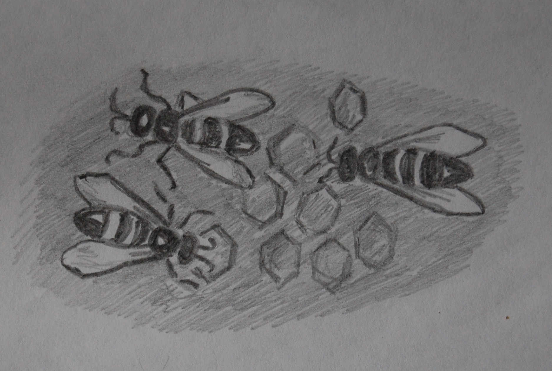 иллюстрации в детскую книгу