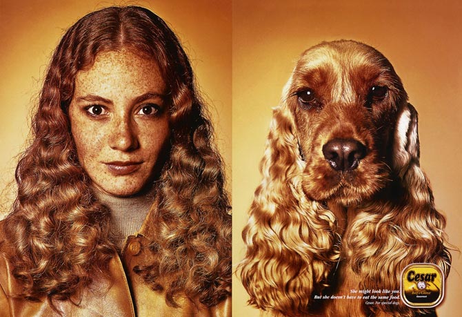 прикрепленный файл