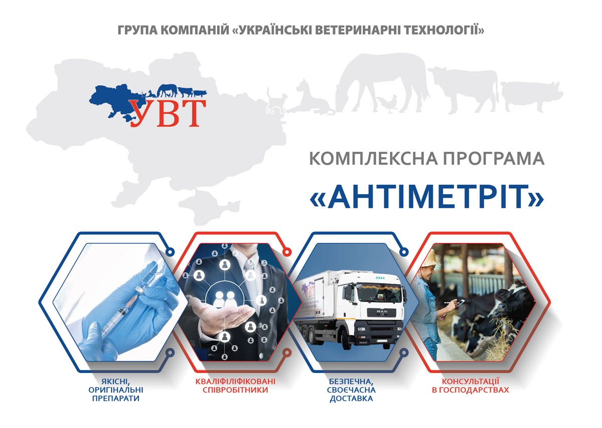 презентация