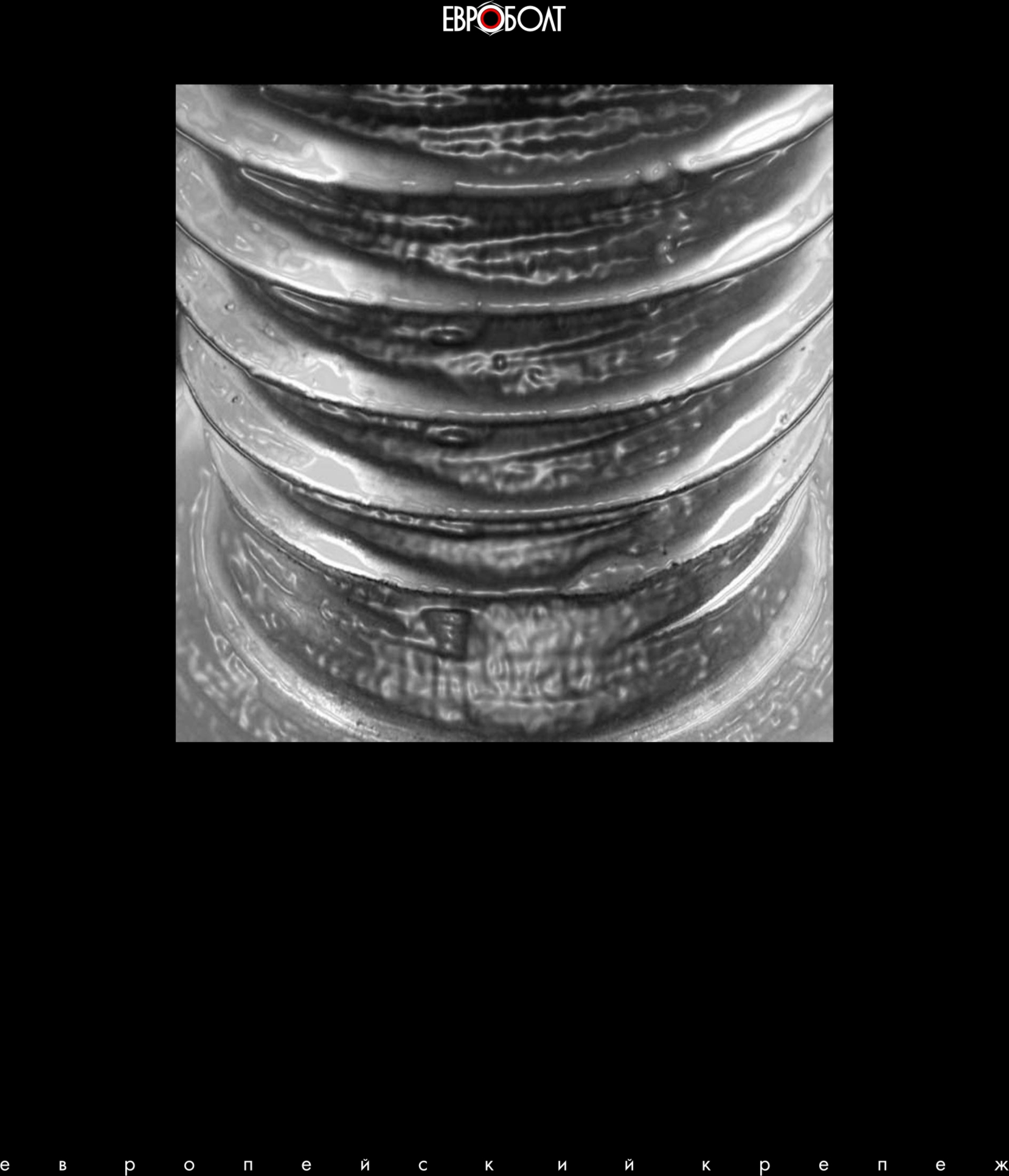 ООО "ЕВРОБОЛТ"