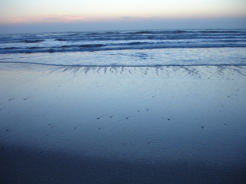 На берегу океана...