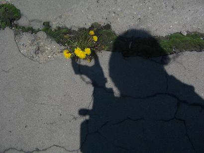 два измерения