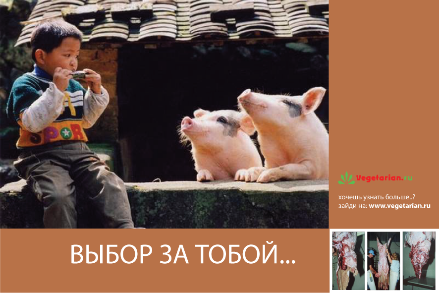 Открытки - Vegetarian.Ru