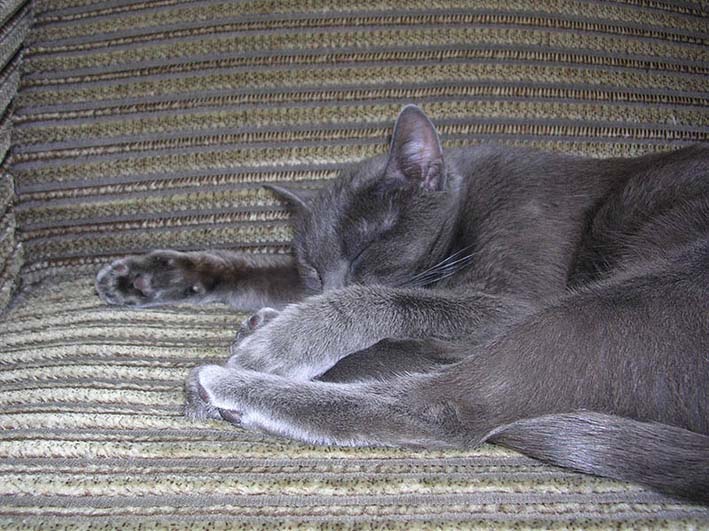 Из серии "Сны".