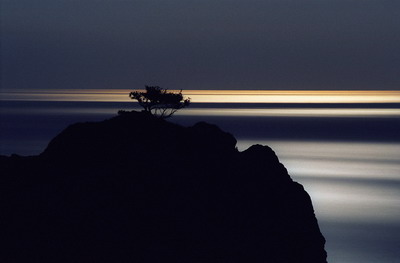 Лунная ночь в Новом Свете