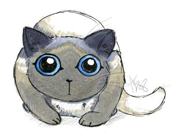 прикрепленный файл