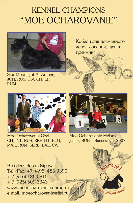 Страница в ежегодник "Терьер Сегодня"