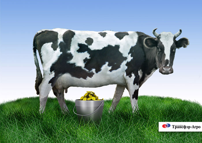 иллюстрация для компании "Трансфер"